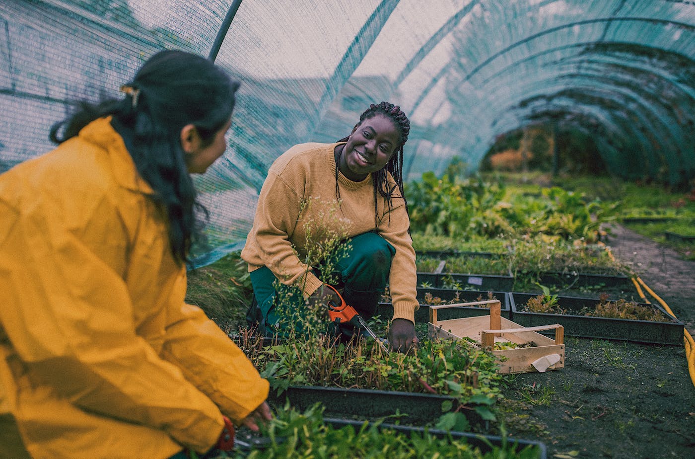 Two women gardening in an urban farm.
