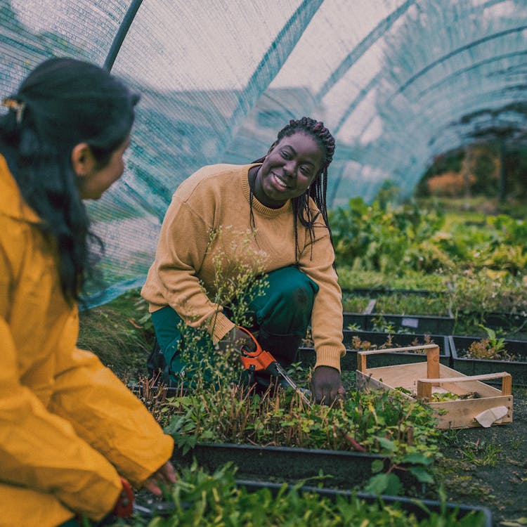 Two women gardening in an urban farm.