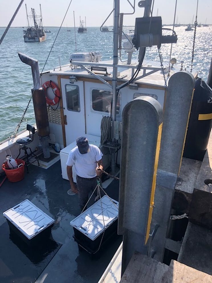 Catch Together: Fishing boats with freshly caught ocean fish in coolers