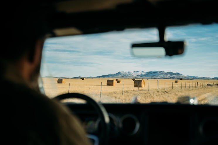 Mad Capital Farm Photo 3