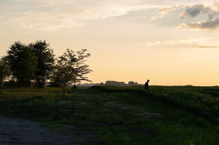 Mad Capital Farm Photo 4