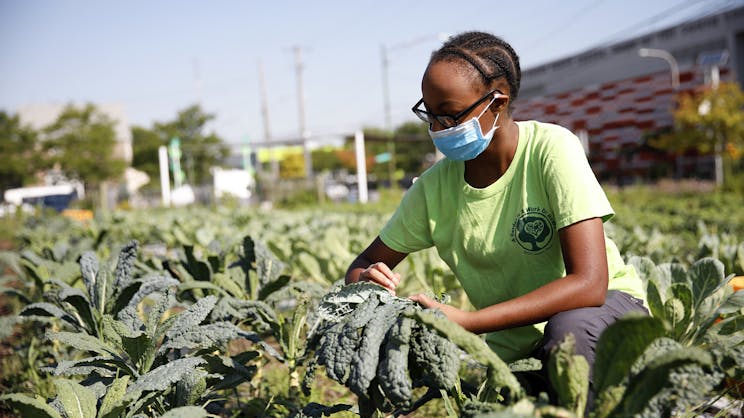 Gary Comer Youth Center's Urban Garden