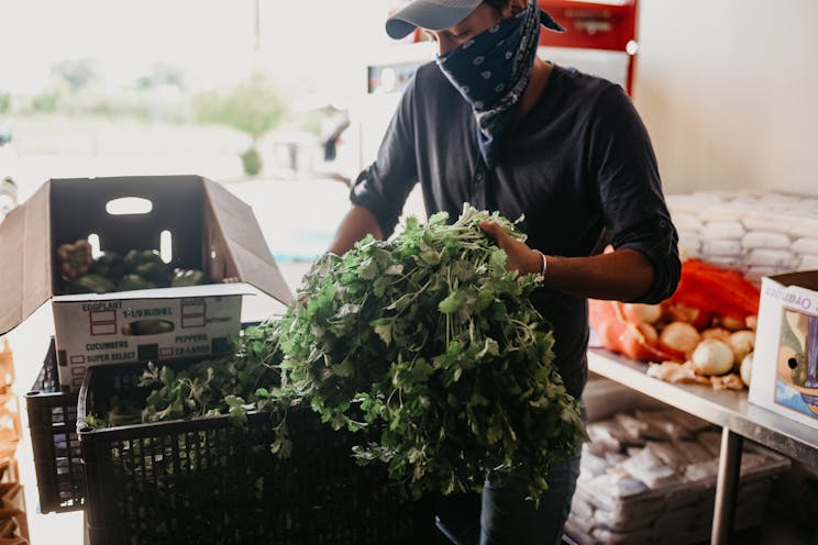 Fresh vegetables prepared for distribution during COVID-19 for hungry people in Lake County, Illinois.