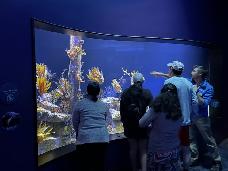 Group of people looking at a fish tank